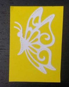 mariposa