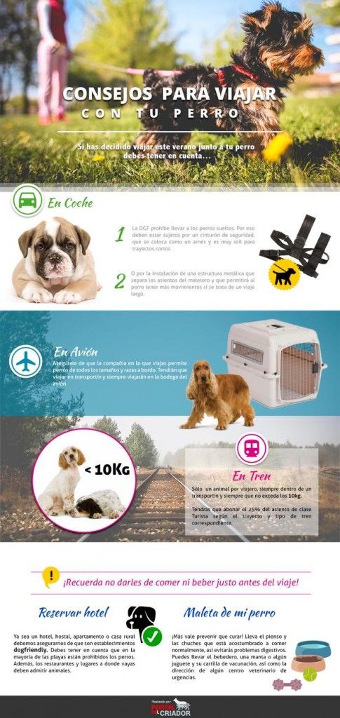comprar perros online